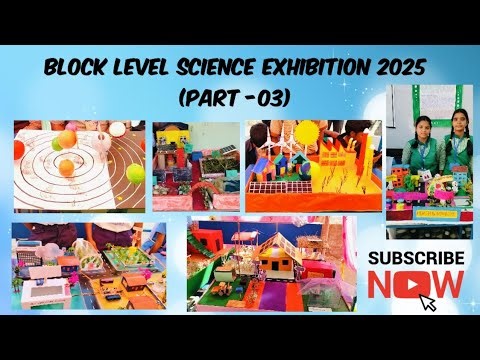 Best Student Science Projects 2025 | Creative & Smart Ideas🥇🎖️🏅🥉💐