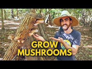 How to Set Up the Perfect Mushroom Growing Spot