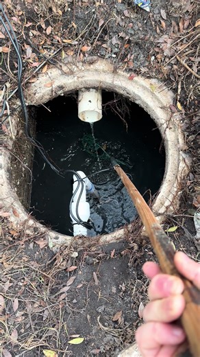 Getting the pool ready for spring #poollife #newpool #florida #spring