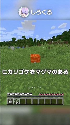 ネザーに水を出す裏技？！【マイクラ豆知識 解説 裏技】