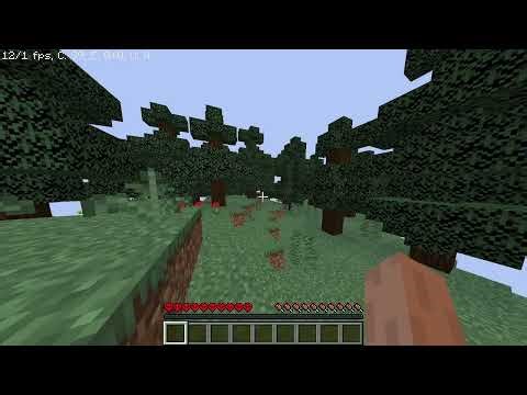My Minecraft Hardcore Speedrun ended in a disaster.