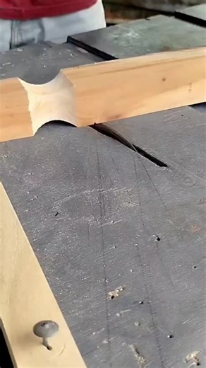 Exploring Beautiful Woods in the United Kingdom