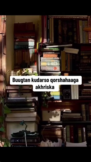 حسابات مقترحة