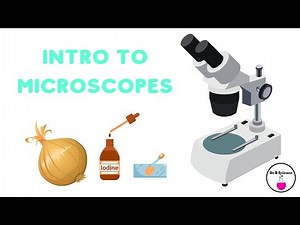 Intro to Microscopes