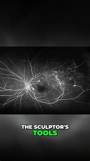 Unlock Your Brain: Effortful Learning & BDNF #shorts