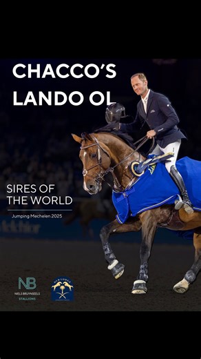 Niels Bruynseels on Instagram: "Sires of the World Winners 🏆 An unforgettable win at Jumping Mechelen for Niels and the outstanding stallion Chacco’s Lando OL✨ Thank you Old Lodge Stud @oldlodgestud , and all partners and sponsors behind this incredible success. Top sport, true partnership, proud moments @stephexhorsetucks @equiline_official @cwd_europe_official @siaa_horsewear @tuccibootsofficial @veredus_horseridingequipment @kepitalia @freejumpsystem @equilannoo @equicity @horsetonicsuppleme