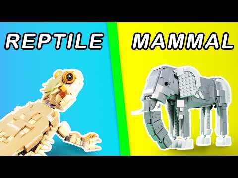 I Made Every Kind of Animal in LEGO