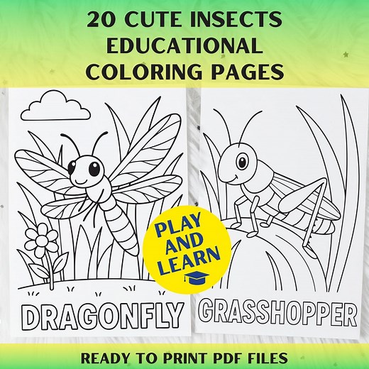 Insects Coloring Pages for Kids – 20 Printable Educational Worksheets - Etsy Canada