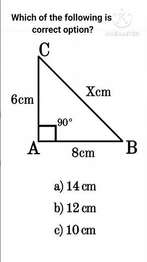 Solve This Right Triangle Using Pythagoras' Theorem! 🧐📏 | Fun Math Challenge