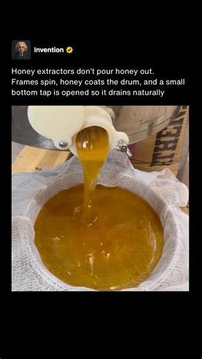 How Honey Is Actually Drained From a Spinner 🍯 #shorts