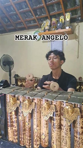 Merak Angelo #gamelan #bali #gender #music #traditional