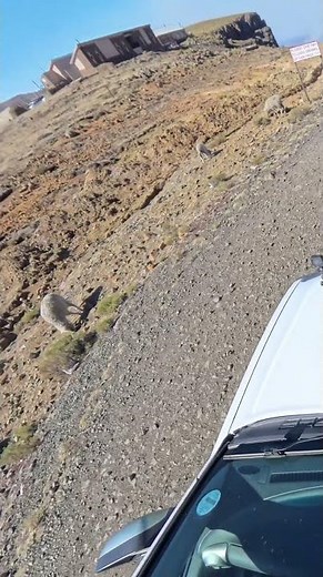 Vehicle Runs Over Gopro,Captures Insane Footage in 4k HD!