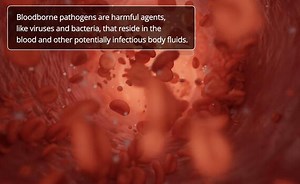 Preventing Bloodborne Pathogen Transmission