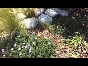 Consecration to the Sacred Heart of Jesus and Immaculate Heart of Mary