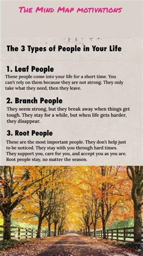 🌳 The 3 Types of People in Your Life | Motivational Video #ceoofyourlife