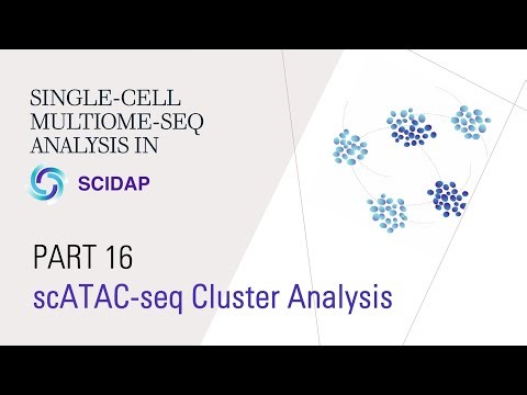 Single-cell Multiome (RNA+ATAC) Analysis 16: scATAC Clustering Analysis