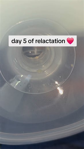 day 5 of relactation #fypシ゚viral #tipsandtricks #relactation #drops #day5
