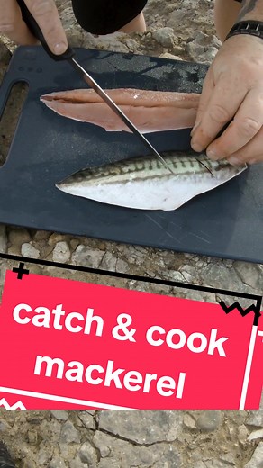 How to Pan Fry Mackerel: A Simple Catch & Cook Guide