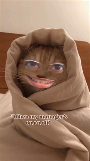 Green Soul Ergonomics on Instagram: "This was so much funnier to shoot because they didn’t know about the filters 😂 . . . . [Corporate Humor, Office Fun, Office Reels, Corporate Banter, Explore, FYP]"