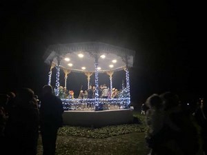 Watch: Christmas Tree Festival lights switch on at Princess Pavilion