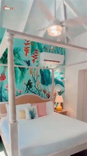 Aruba Island #documentary #arubaonehappyisland