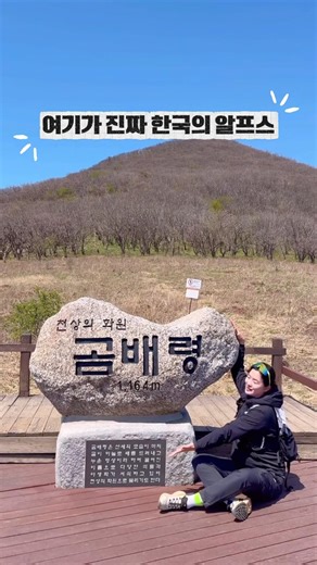 숨겨진 야생화 명소🌸🌿 강원도 인제 점봉산 #곰배령 #등산 #국립공원