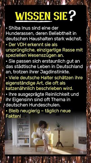 Shiba Inus: Was macht sie hierzulande so besonders?
