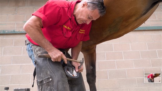 Horseshoeing