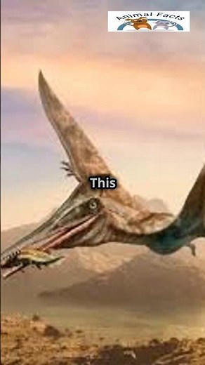 Pterodactyl | The Flying Monster of Prehistory!