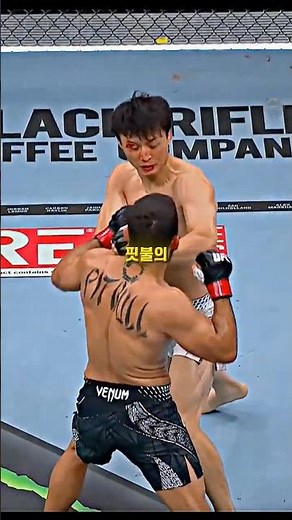오늘은 슬픈 날이다.. 최두호 vs 핏불 경기 결과