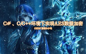 【C#】第八讲：C#/C/C   环境下如何实现AES数据加密