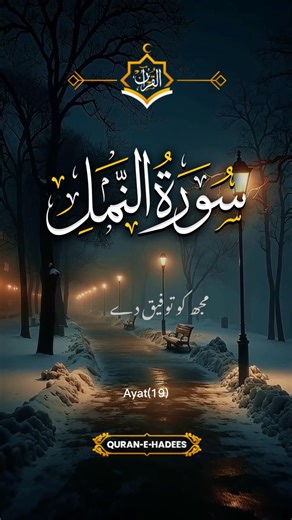 A King Who Was Humble Before an Ant — Surah An-Naml Verse 19