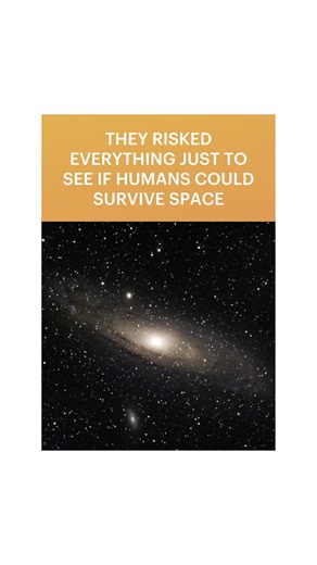 Curiosity Stream on Instagram: "Before we reached the Moon, we had to learn how to reach space. 🚀 The Mercury Project—launched under President Kennedy—was America’s first human spaceflight program. Its goal? To find out if humans could survive and work in space at all. Seven astronauts, called the Mercury Seven, became national heroes as they tested the limits of human endurance—squeezed into tiny capsules, facing the unknown. Every flight, every orbit, every risk laid the groundwork for what c