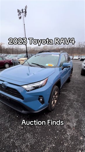 Public Access to Dealer-Only Auctions for Cars