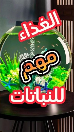 العناية بنباتات أحواض السمك #aquarium #أسماك_زينة