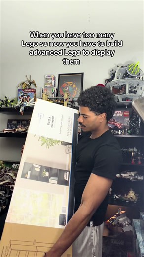 Building Advanced LEGO Displays for Enthusiasts