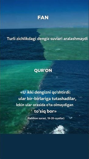 Haqiqat bitta #islom #allah #quron #shorts