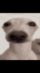 Send this to your favorite musician #musicmeme #bandhumor #musichumor #memes #school #musician | Musicnotes