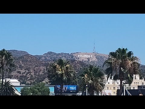 Hollywood Bus Tour: Celebrity Homes 2024