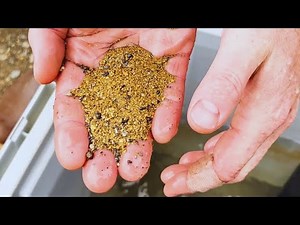 The one place in the world you can find gold dust lying on the ocean floor