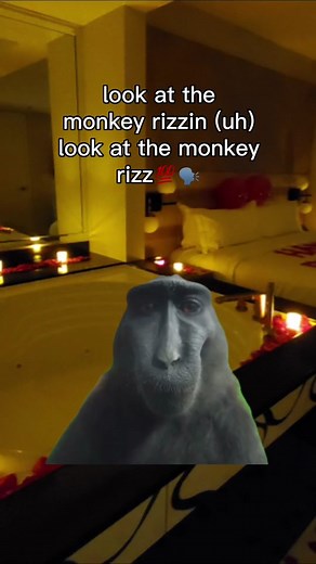 #CapCut monkey be starin at the fuccin screen💯 monkey got W rizz🔥‼️ #drihdreh #fyp #funny #trending #capcutmeme #music #rizz #monkey