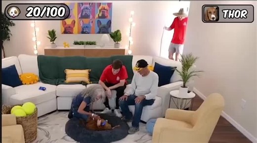 Free Pet Food for Life Giveaway