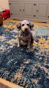 Maybe Crump has more control than we thought... | TeamCasp47