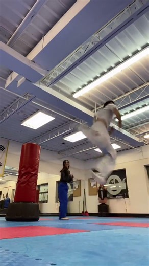 Master Han's Epic Taekwondo Art: Anime Meets Martial Arts #Taekwondo #MartialArts #MMA