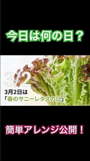 【春のサニーレタスの日】簡単アレンジ3選 #雑学 #プチ知識 #サニーレタス