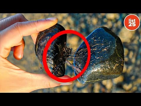 25 Facts More Interesting Than Anything You’ll Find on Google