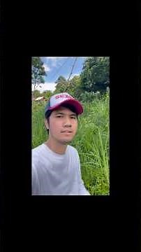 Travel Vlog Sentul Bogor Trekking To Curug Bidadari Waterfall And Rice Field Scenery