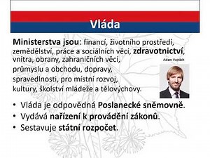 The democratic state