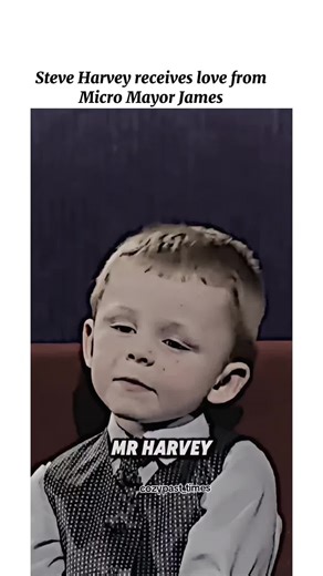 Steve Harvey's Engaging Interview Highlights