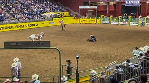 Denton Oestmann made an awesome run lastnight in the tie-down roping at the CNFR with a time of 8.4! Way to go Denton | Northwestern Oklahoma State University Rodeo Team